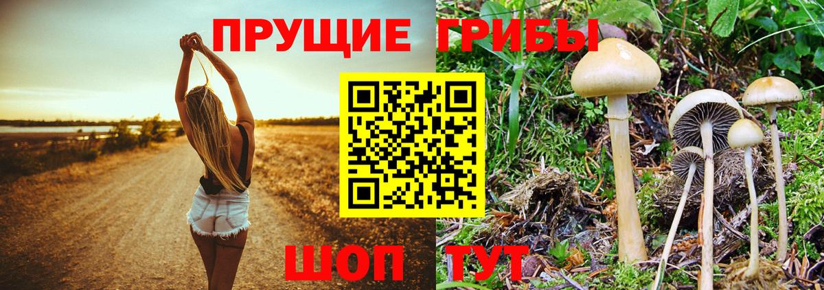 Галлюциногенные грибы ЛСД Железноводск